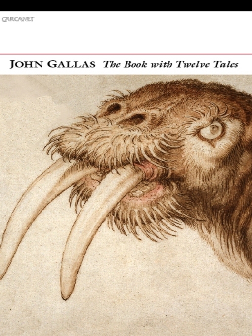 Title details for The Book with Twelve Tales by John Gallas - Available